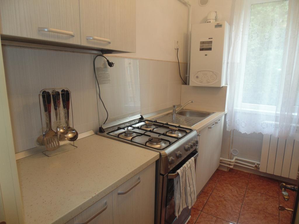 Lary Apartament سوتْشافا الغرفة الصورة